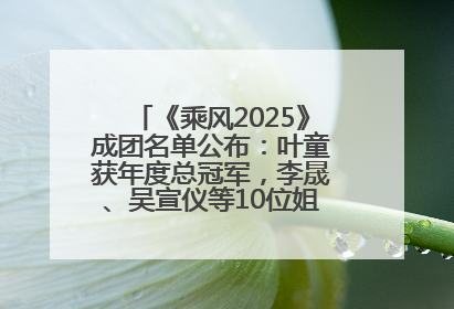 《乘风2025》成团名单公布：叶童获年度总冠军，李晟、吴宣仪等10位姐姐成功成团，陈德容获年度高光人物