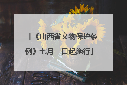 《山西省文物保护条例》七月一日起施行