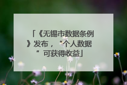 《无锡市数据条例》发布，“个人数据”可获得收益
