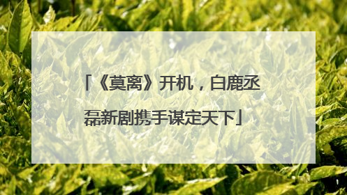 《莫离》开机，白鹿丞磊新剧携手谋定天下
