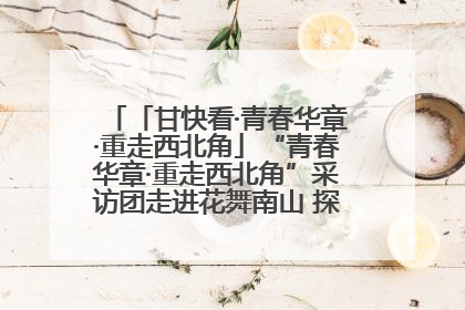 「甘快看·青春华章·重走西北角」“青春华章·重走西北角”采访团走进花舞南山 探寻天水乡村振兴之路