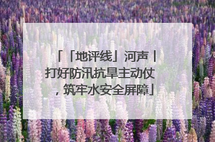 「地评线」河声丨打好防汛抗旱主动仗，筑牢水安全屏障