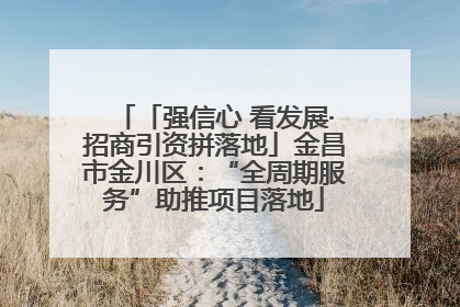 「强信心 看发展·招商引资拼落地」金昌市金川区：“全周期服务”助推项目落地