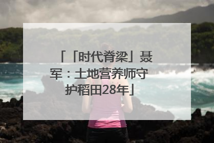 「时代脊梁」聂军：土地营养师守护稻田28年