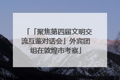 「聚焦第四届文明交流互鉴对话会」外宾团组在敦煌市考察