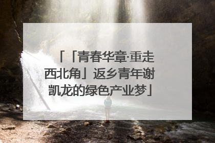 「青春华章·重走西北角」返乡青年谢凯龙的绿色产业梦