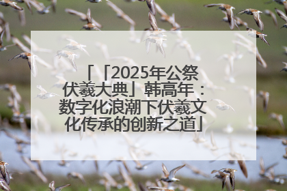 「2025年公祭伏羲大典」韩高年：数字化浪潮下伏羲文化传承的创新之道