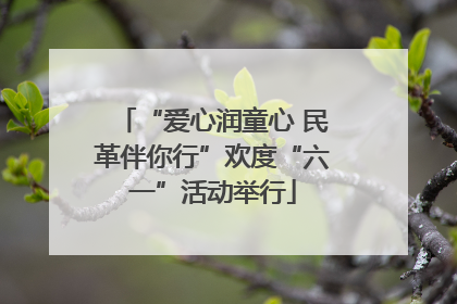 “爱心润童心 民革伴你行”欢度“六一”活动举行