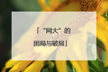 “网大”的困局与破局