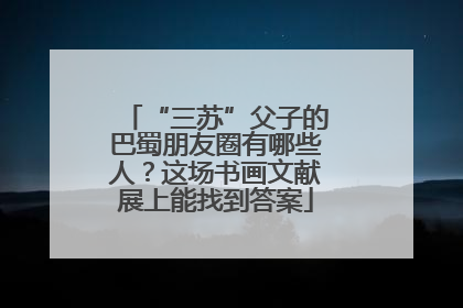 “三苏”父子的巴蜀朋友圈有哪些人？这场书画文献展上能找到答案