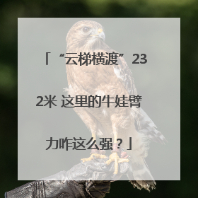 “云梯横渡”232米 这里的牛娃臂力咋这么强？