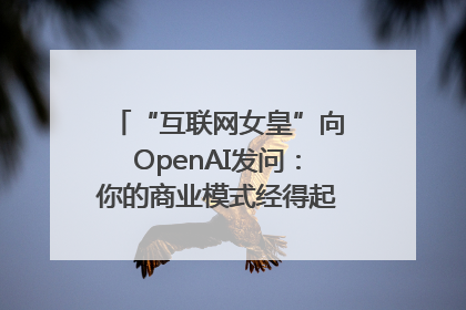“互联网女皇”向OpenAI发问：你的商业模式经得起价格战考验么？