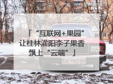 “互联网+果园”让桂林灌阳李子果香飘上“云端”