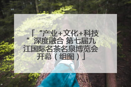 “产业+文化+科技”深度融合 第七届九江国际名茶名泉博览会开幕（组图）