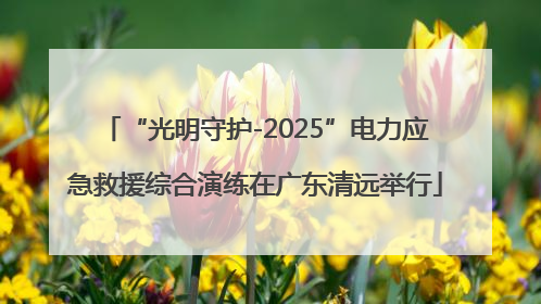 “光明守护-2025”电力应急救援综合演练在广东清远举行