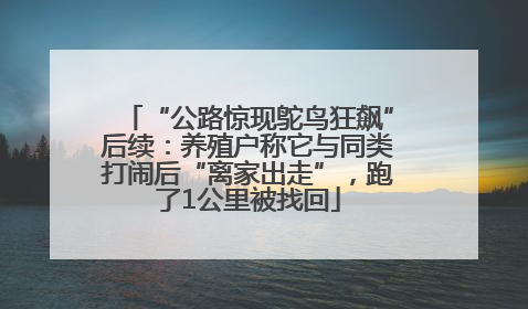 “公路惊现鸵鸟狂飙”后续：养殖户称它与同类打闹后“离家出走”，跑了1公里被找回