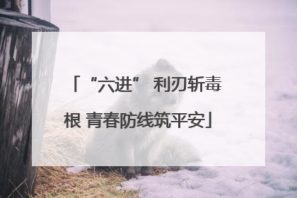 “六进” 利刃斩毒根 青春防线筑平安