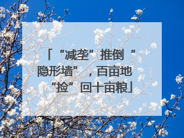“减垄”推倒“隐形墙”，百亩地“捡”回十亩粮