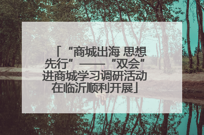 “商城出海 思想先行”——“双会”进商城学习调研活动在临沂顺利开展