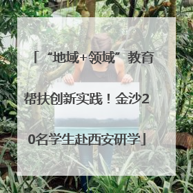 “地域+领域”教育帮扶创新实践！金沙20名学生赴西安研学