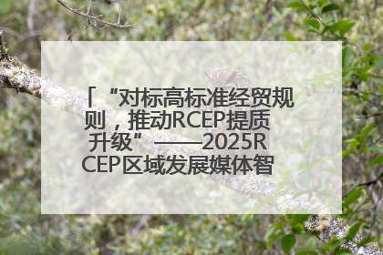 “对标高标准经贸规则，推动RCEP提质升级”——2025RCEP区域发展媒体智库论坛举行专题对话