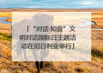 “对话·知音”文明对话国际日主题活动在尼日利亚举行