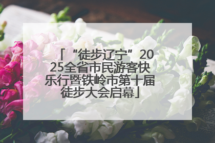 “徒步辽宁”2025全省市民游客快乐行暨铁岭市第十届徒步大会启幕