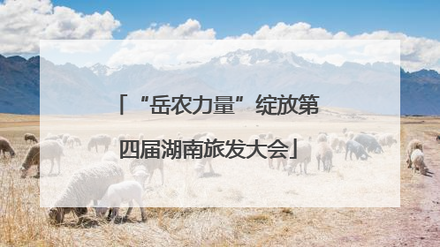 “岳农力量”绽放第四届湖南旅发大会