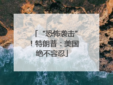 “恐怖袭击”！特朗普：美国绝不容忍