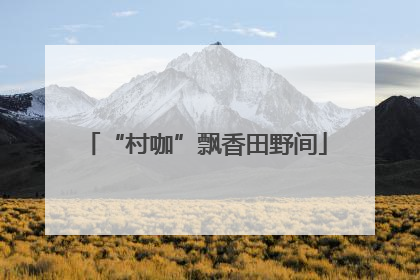 “村咖”飘香田野间