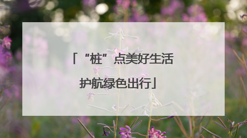 “桩”点美好生活 护航绿色出行
