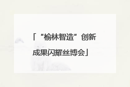 “榆林智造”创新成果闪耀丝博会