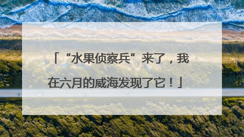 “水果侦察兵”来了，我在六月的威海发现了它！