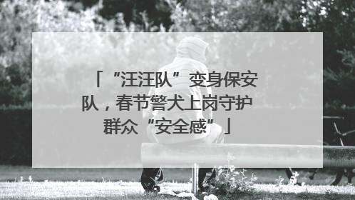 “汪汪队”变身保安队，春节警犬上岗守护群众“安全感”