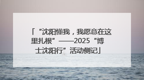 “沈阳懂我，我愿意在这里扎根”——2025“博士沈阳行”活动侧记