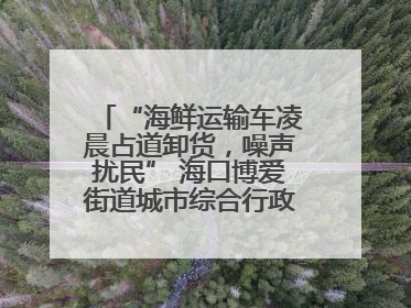“海鲜运输车凌晨占道卸货，噪声扰民” 海口博爱街道城市综合行政执法中队：将联合交警加强长堤路一带巡逻
