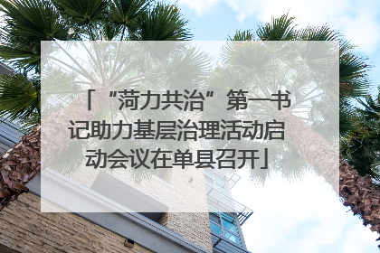 “菏力共治”第一书记助力基层治理活动启动会议在单县召开