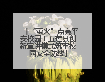 “萤火”点亮平安校园！五莲县创新宣讲模式筑牢校园安全防线