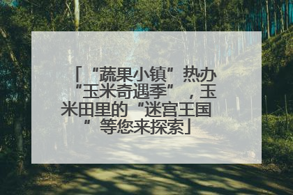 “蔬果小镇”热办“玉米奇遇季”，玉米田里的“迷宫王国”等您来探索