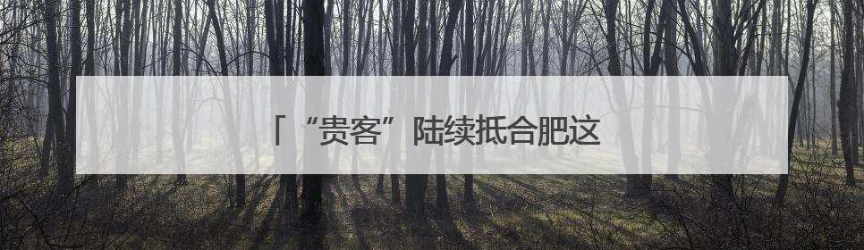 “贵客”陆续抵合肥这里！有的成“新住民”