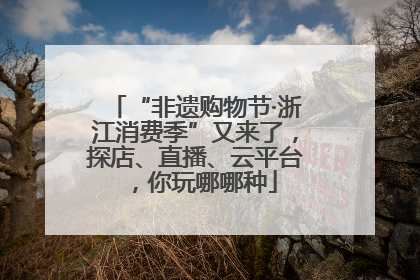 “非遗购物节·浙江消费季”又来了，探店、直播、云平台，你玩哪哪种