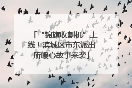 “锦旗收割机”上线！滨城区市东派出所暖心故事来袭