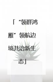 “领群鸿雁”领航边境共治新生态