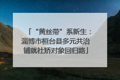 “黄丝带”系新生：淄博市桓台县多元共治铺就社矫对象回归路