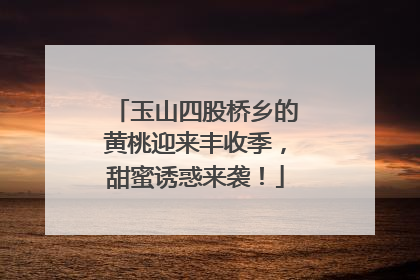 玉山四股桥乡的黄桃迎来丰收季，甜蜜诱惑来袭！