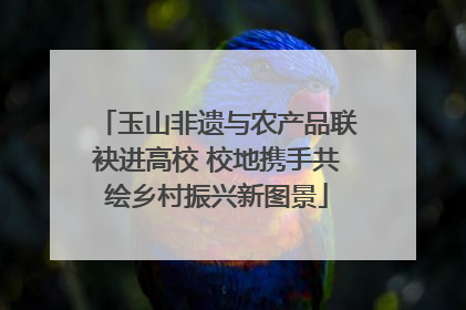 玉山非遗与农产品联袂进高校 校地携手共绘乡村振兴新图景