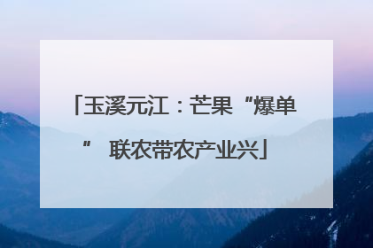 玉溪元江：芒果“爆单” 联农带农产业兴