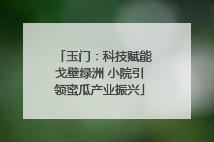 玉门：科技赋能戈壁绿洲 小院引领蜜瓜产业振兴
