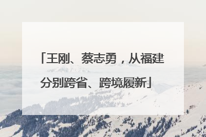 王刚、蔡志勇，从福建分别跨省、跨境履新