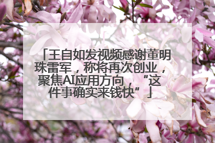 王自如发视频感谢董明珠雷军，称将再次创业，聚焦AI应用方向，“这件事确实来钱快”